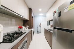 Parc Life (D27), Condominium #596671111